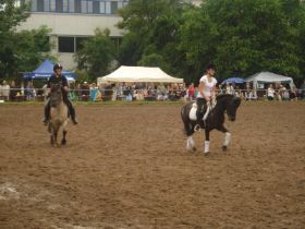 DSC02705neu.jpg